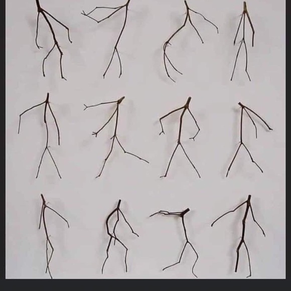 Meet your Posher, Sam - Picture 1 of 1